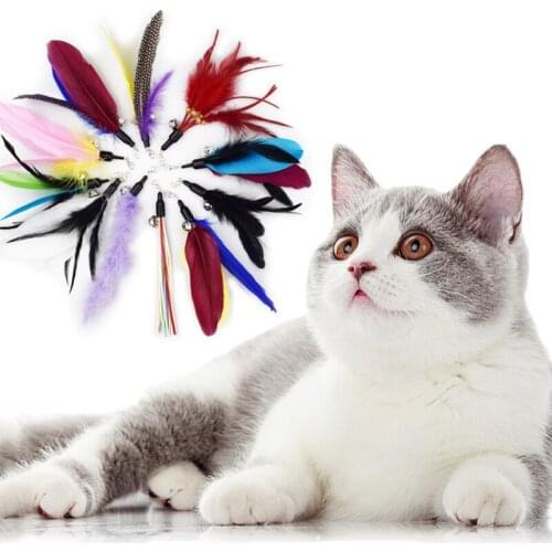 New Feather Replacement Head Funny Cat Toy Cute And Funny Kitten Outdoor Interactive Play Training Supplies Hot