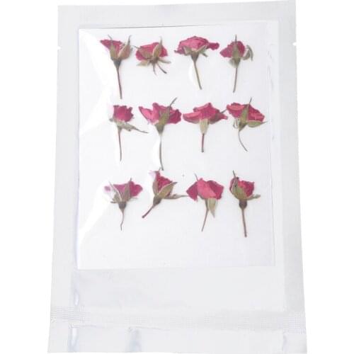 Dried Flowers for Resin,Dried Pressed Flowers,Multicolor Pure Dry Flowers Leaves Patels for DIY Resin Jewelry Floral Decors