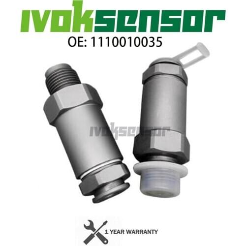 Limiter Pressure Valve 1110010035 For Bosch, Diesel Spare Parts Common Fuel Rail Pressure Limited Valve 1 110 010 035