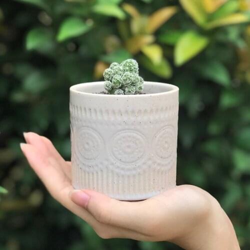 Succulent Flowerpot Cactus Mini Thumb Coarse Sand Ceramic Pot Japanese Personality Creative Small Potted Desktop Decoration