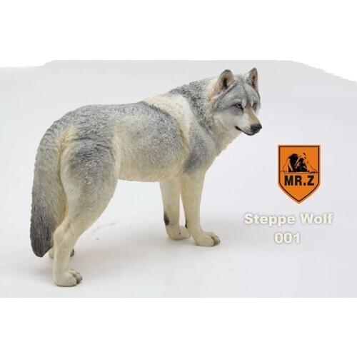 Mr.Z 18.5CM Prairie Wolf simulation PVC animal model Wild dog mount Kids adult Toys home car decoration For action figure toy