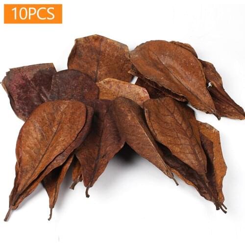 10pcs Natural Terminalia Catappa Leaves Aquarium Fish Tank Cleaning Tools Water Treatment Balance PH Acidity Almond Leaf