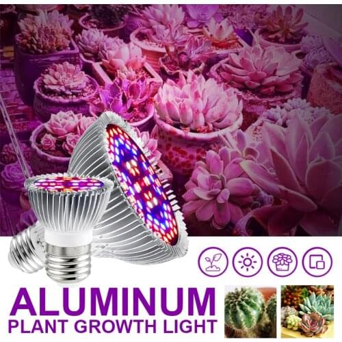 Профессиональное освещение Hbu China At AliExpress