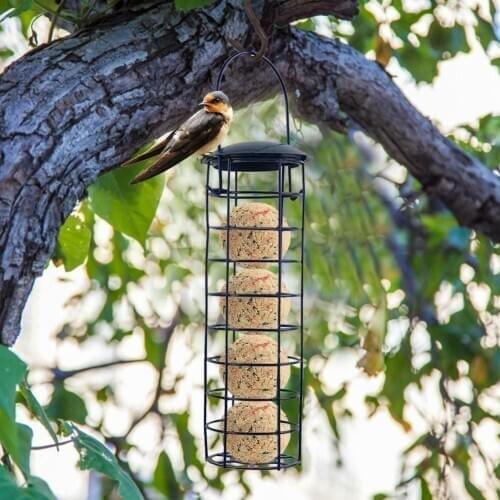 New Hanging Wild Bird Feeder Outdoor Grease Ball Food Dispenser Garden Feeding Portable-30