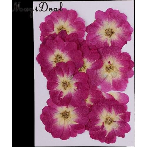12 Pieces Chinese Rose Pressed Natural Dried Flower for DIY Resin Ornament Candle Making Decoration Purple 3-4cm