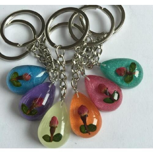 FREE SHIPPING 6 pcs New Real Retro Dried Flower Jewelry Colorful Design Keychain