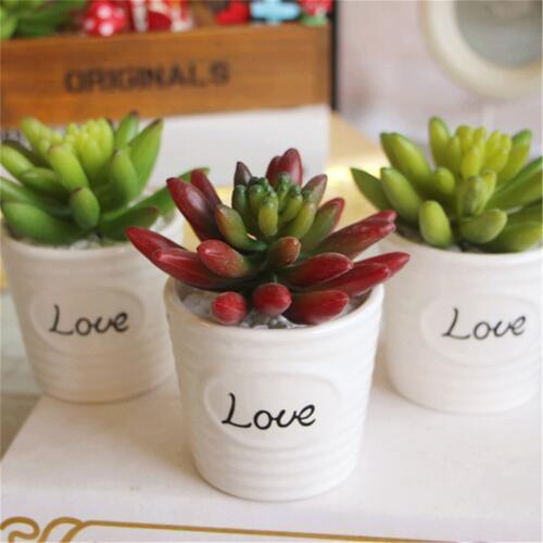 Mini artificial Snowflake Lotus Plants real touch artificial succulents christmas decorations for home Garden Decor fake plants