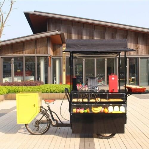 Fashion Coffee Tricycle Adult Mobile Food Cart Electric Cargo Bike with CE