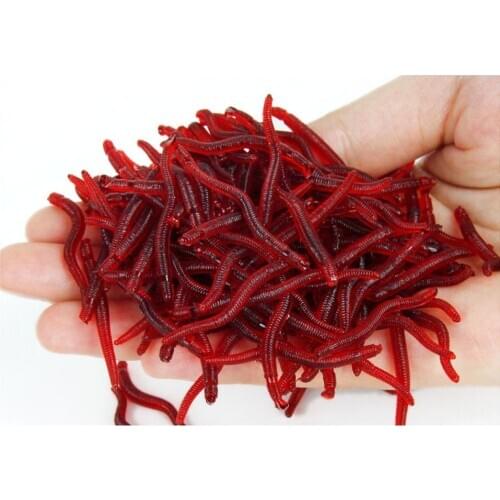 500g Soft Fishing Lure Simulation Red Worms 35mm 0.2g Artificial Lifelike Maggot Earthworm Lures Fishy Smell Carp Fishing Tackle
