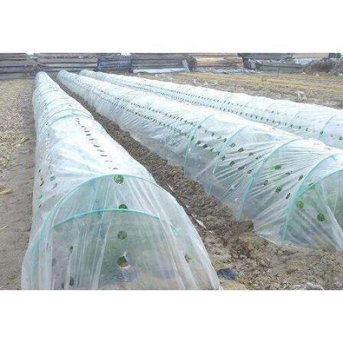 2x10M 2 silk Garden PE film,white color,garden flower greenhouse plastic mulch garden.Agricultural use.Insulation weeding