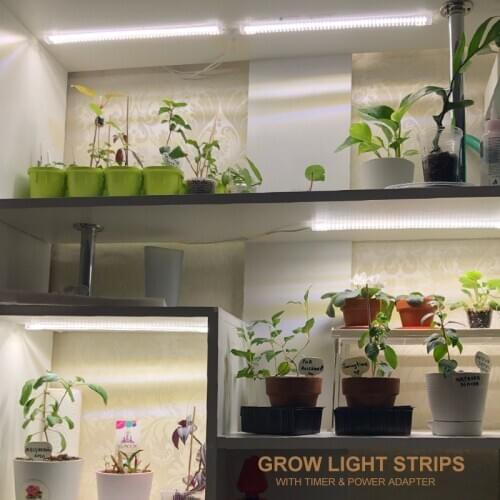 LED Grow Light Strips With Timer And Power Adapter 2pcs 4pcs 6pcs 8pcs 3200K Full Spectrum Phyto Lamp Indoor Phytolamp For Plant
