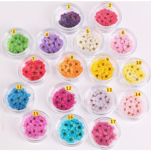 Free Shipping 12 Colors/Set Dried Flower Nail Glitter for Nails