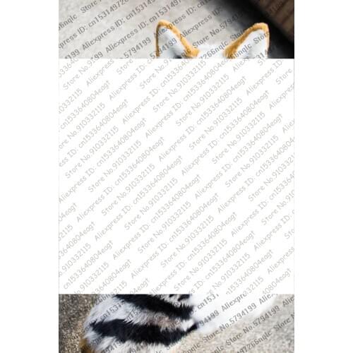 Customized Available REAL PHOTO dx0080 head CAT full sets husky dog Suit fursuit Costume fox Party Carnival Gift