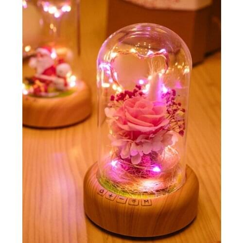 Rose Night Light Flowers Lamp Bluetooth Speaker Toy Gifts for Birthday, Mothers,Valentine Day