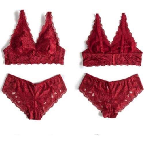 Hollowout Sexy V-neck Bra Ultrathin Underwear Set Plus Size Cup Women Transparent Bra Sets Lace Embroidery Lingerie Brassiere