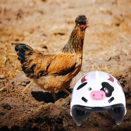 Chicken Head Protector Helmet Cap Bird Funny Gear Sun Hat Costumes Hens Outdoor Henhouse Gear Chicken Accessories