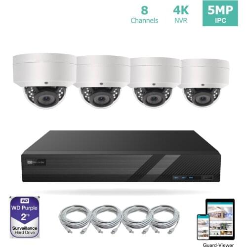 LINOVISION 8 Channel 4K IP PoE Security Camera System 8ch 4K NVR with 2TB HDD and 4 Outdoor 5MP PoE IP Dome Cameras