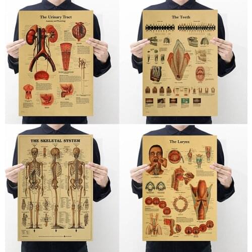 The Body Structure Skeleton Nervous System Vintage Poster Medical Decoracion Painting Wall Art Kraft Paper Wall Stickers