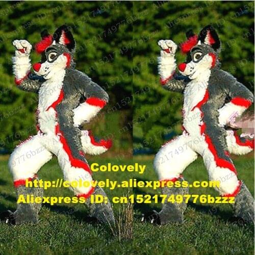 Grey Long Fur Furry Husky Dog Fox Wolf Fursuit Mascot Costume Adult Cartoon Character Suit Carnival Fiesta Anime Costumes zz7582