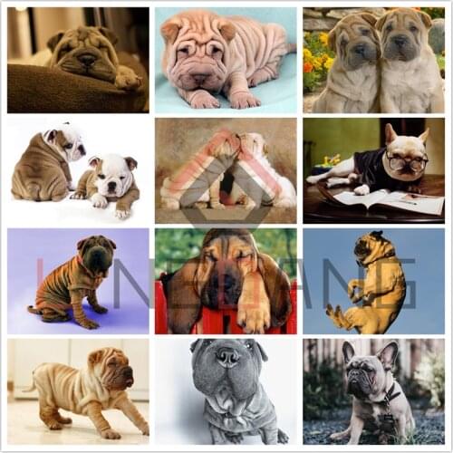 5D Full Square Round Drill Diamond Painting Dog Animal Diamond Embroidery Shar Pei Dog Cross Stitch Mosaic Set Home Decoration