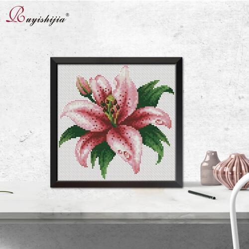 RUYISHIJIA Pretty Flowers Paintings Needlework Cross Stitch Set by Starter Kits Beginners Handmade Cross-Stitch Embroidery