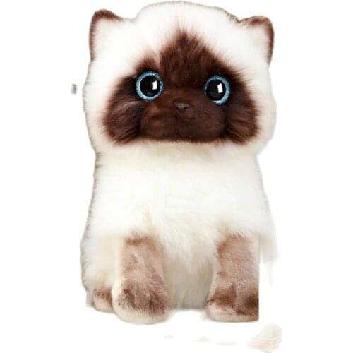 20/26CM Simulation Siamese Cat Plush Toy Blue Sequins Eyes Dolls Brown and White Face Ragdoll Cats Home Decor Cute Gift for Baby