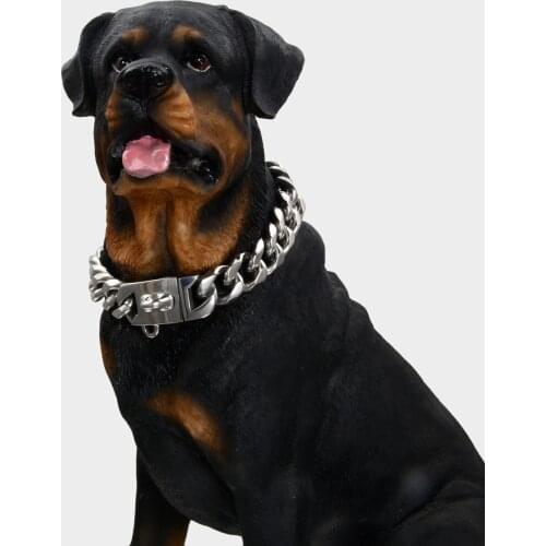 New Pet Dog Gold Chain Puppy Collar Necklace Stainless Steel Bulldog Collar 10mm Small Middle Large Dog