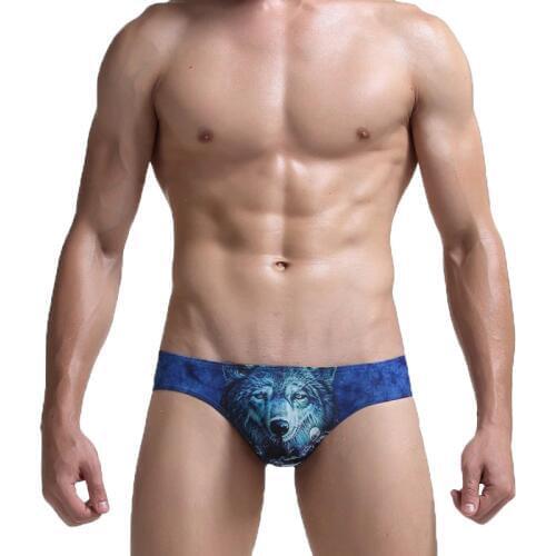 Sexy Mens Briefs 3D Animal Print Penis Pouch Underwear Cueca Masculina Gay Underpants Ropa Interior Seamless Slip Male Panties