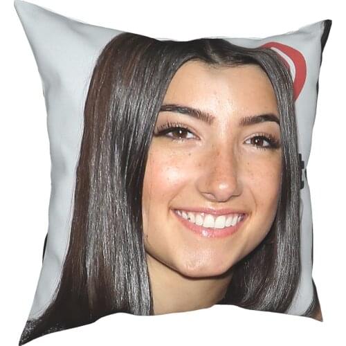 Charli Damelio Decorative Pillows For Living Room Chaos School Pencil Case Anime Dakimakura Boys Pillow Cover Pillowcase