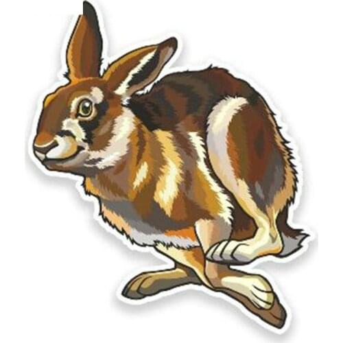 Car stickers, off road. Accessories are suitable for all models such as Honda Civic Jeep Wrangler Honda Accord 2020 RAV4