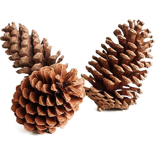 2pcs 10-14cm big size natural Christmas decoration big pine cones