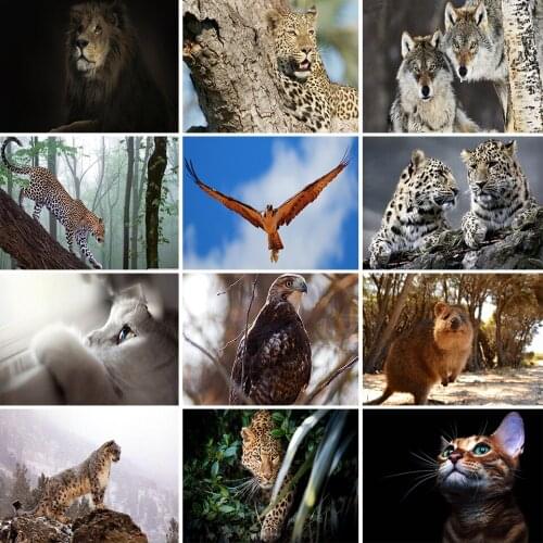 NicHome 5D Diamond Painting "Animal"Picture Full Square/Round Diamond Embroidery Cross Stitch Gift Kits Home Decor