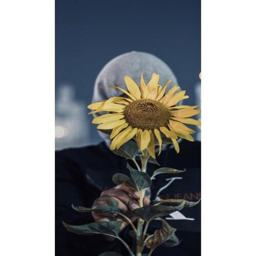 Full Square/Round DIY Drill Embroidery Holding Sunflower Diamond Painting Cross Stitch Mosaic Rhinestone JX 594