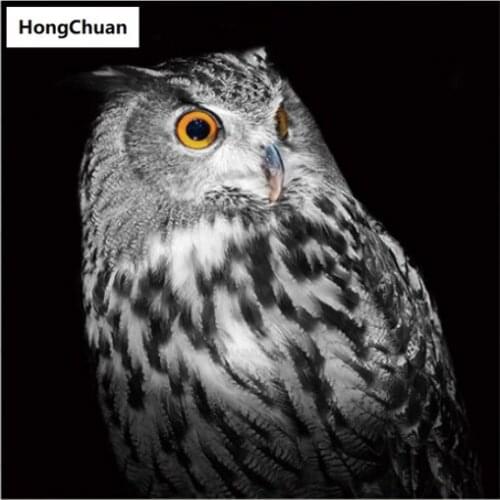 Eagle Animal 5D DIY Square/Round Diamond Painting Mosaic Mural Cross Embroidery Handicraft Home Decoration Christmas Gift