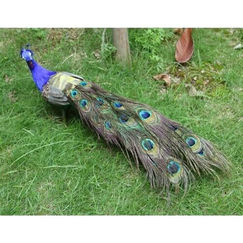 Turning Head Peacock Feather Garden Decoration Ornament, Multi-Colour, 50cm