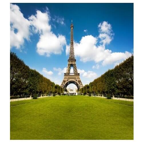 VinylBDS 200X300CM Eifel Tower blue wedding background photography backdrops fundo fotografico newborn