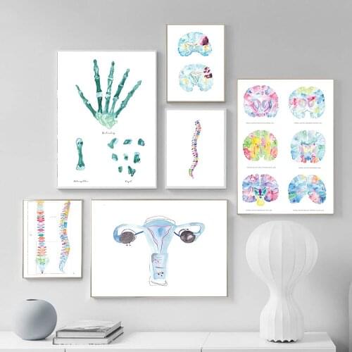 Decoration Spine Skeleton Canvas Prints And Posters Physiotherapist Wall Art for Painting Wall Pictures For Chiropractic Room