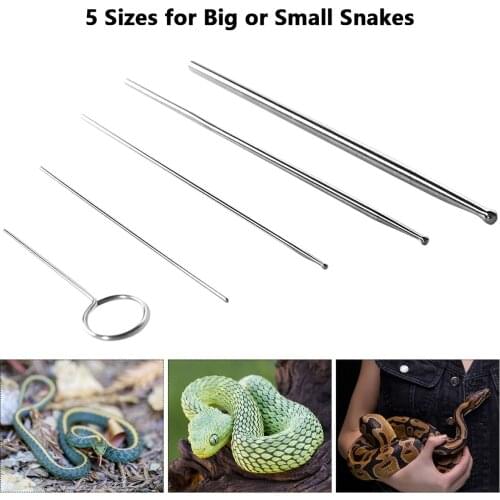 Snake Probe Kit 6 Pieces Round Ball Tip Professional Reptiles Snake Probes Set Pet Snake Sex Detector