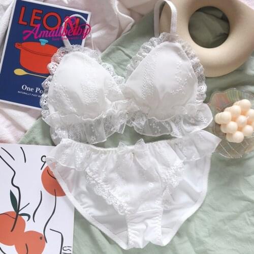 Japanese Women Fashion Underwear Underwear Sexy Transparent Panties and Bra Set Underwear Conjunto Lenceria Mujer