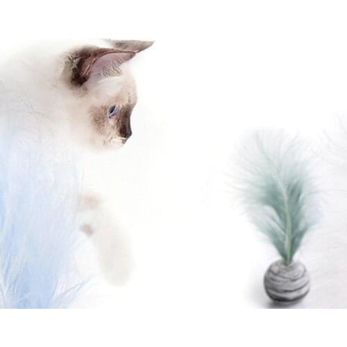 Pet Funny Cat Toy Star Ball Plus Feather EVA Material Light Foam Ball Throwing Toy Star Texture Ball Feather pet Toy For Dog
