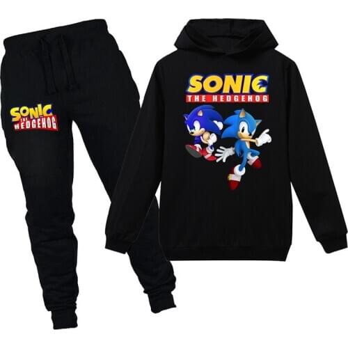 2021 Kids Cartoon New Hedgehog Spring Autumn Boys Long Sleeve Hooded Sweatshirt Trousers Sports Girls Cute Casual 2-Piece Set