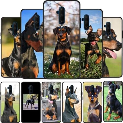 Чехлы для телефонов OnePlus 8 KMUOSUNOG (手机) China At AliExpress