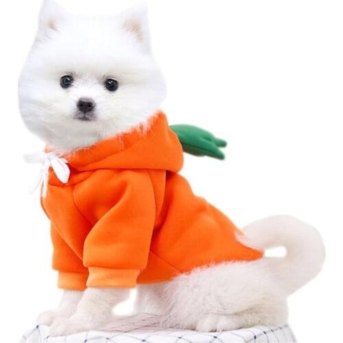 Warm Dog Winter Clothes Cute Fruit Dog Jacket Hoodie Wool Pet Dog Clothing Jacket French Bulldog Chihuahua