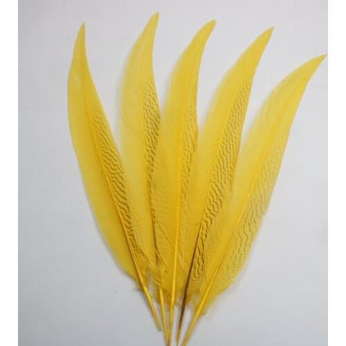 50Pcs/Lot Natural Silver Pheasant Tail Feathers for Crafts 45-60CM Wedding Decorations Golden Chicken Pheasant Feather Plumes