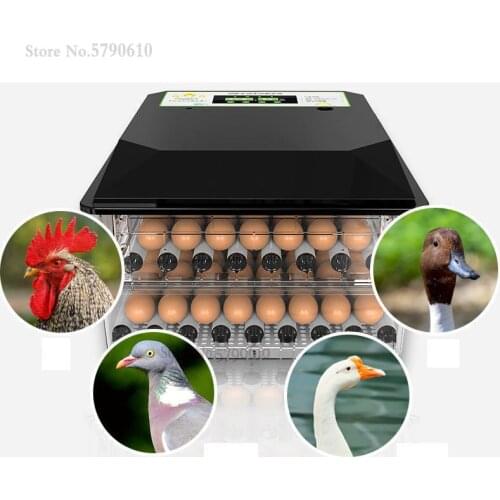 Incubator Domestic Incubator Intelligent Incubator Automatic Heat Preservation Mini Machine Drum Chicken Duck Goose Incubator