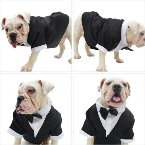 Dropshipping Pug Clothes Schnauzer French Bulldog Clothing Dog Wedding Suit Tuxedo English Bulldog Pit Bull Terrier Costume Coat