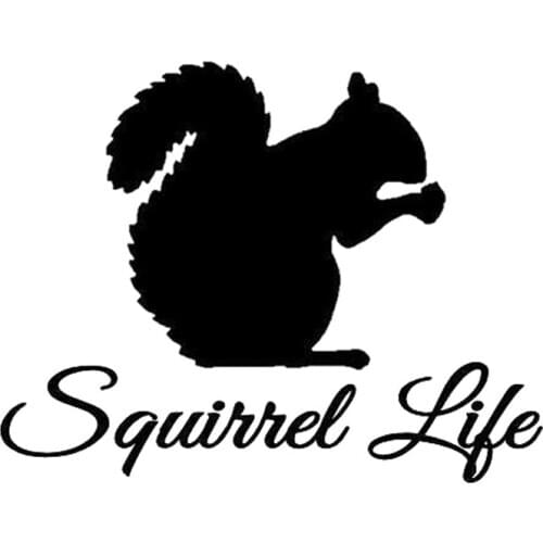 15.8cm*12.3cm Squirrel Life Animal Decor Car-Styling Stickers Decals Vinyl S4-0161