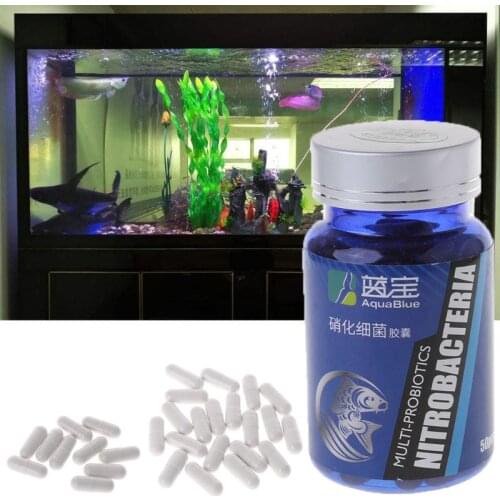 10-50Pcs Nitrifying Bacteria For Fresh Water And Marine Water Fish Tank