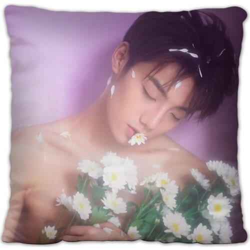 Youth Has You Li Zhenning Pillowcase Pretty Scholar Yu Lexuan Same Paragraph Star Photo Poster Cushion Cover Souvenir Home Decor