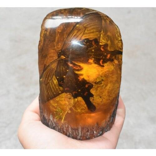 Rare Amber Fossil Plants Insects Characteristics Cicada Decorative Pieces 519G
